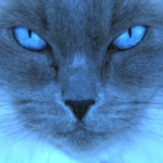 Avatar użytkownika SerialowaAga